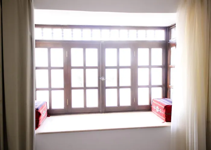 Apartment Delta Shine *